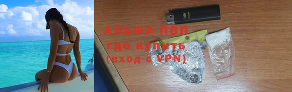 сатива Алзамай
