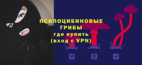 сатива Алзамай