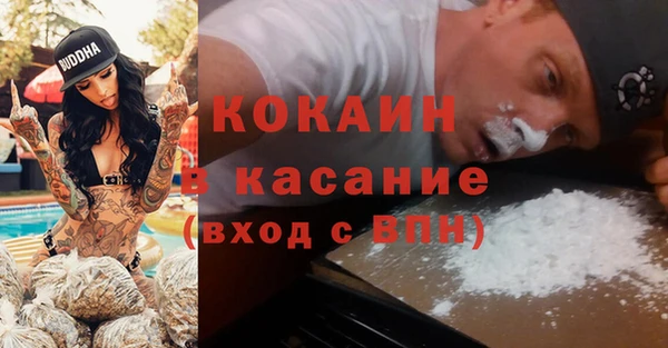 сатива Алзамай