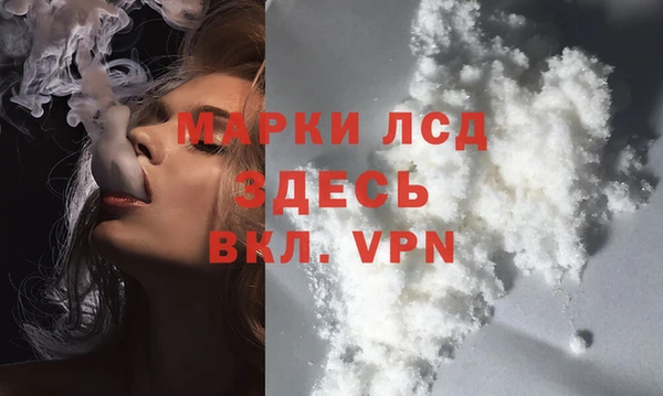 сатива Алзамай