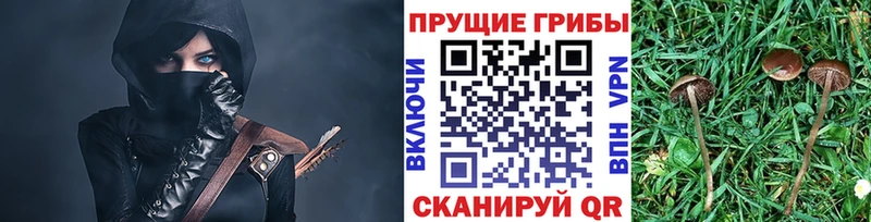 Псилоцибиновые грибы GOLDEN TEACHER Енисейск