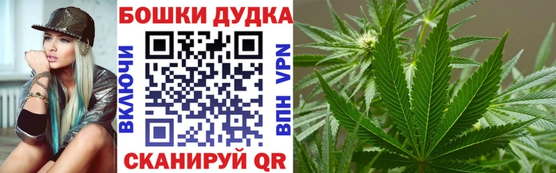 Шишки марихуана сатива  купить наркоту  Енисейск 